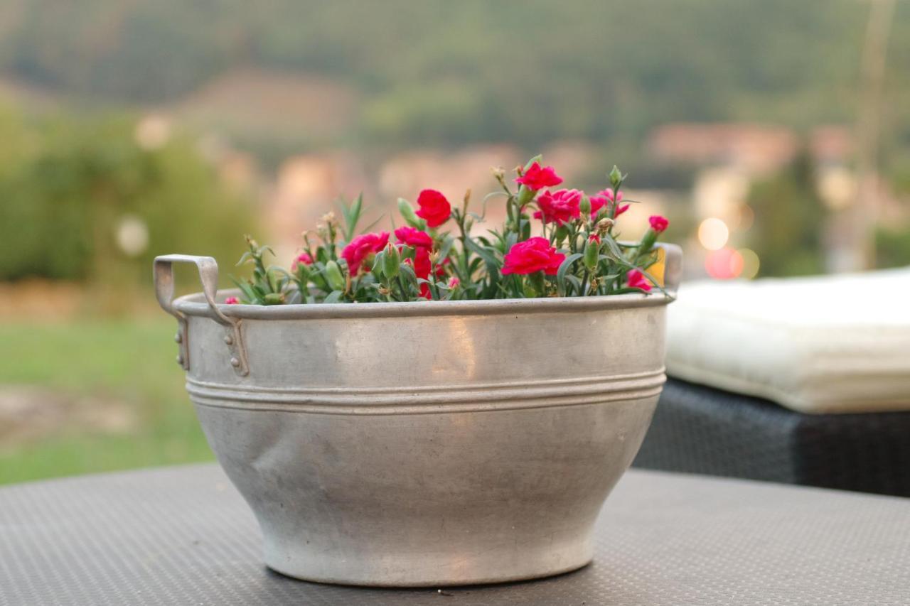 Beb Montefratta Bed & Breakfast Fratta Terme Ngoại thất bức ảnh