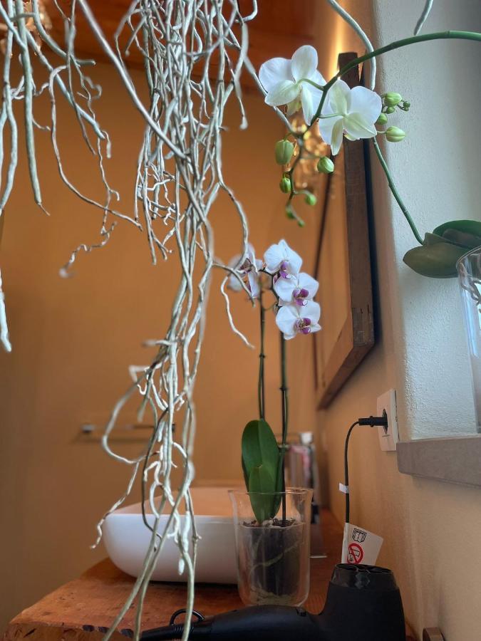 Beb Montefratta Bed & Breakfast Fratta Terme Ngoại thất bức ảnh