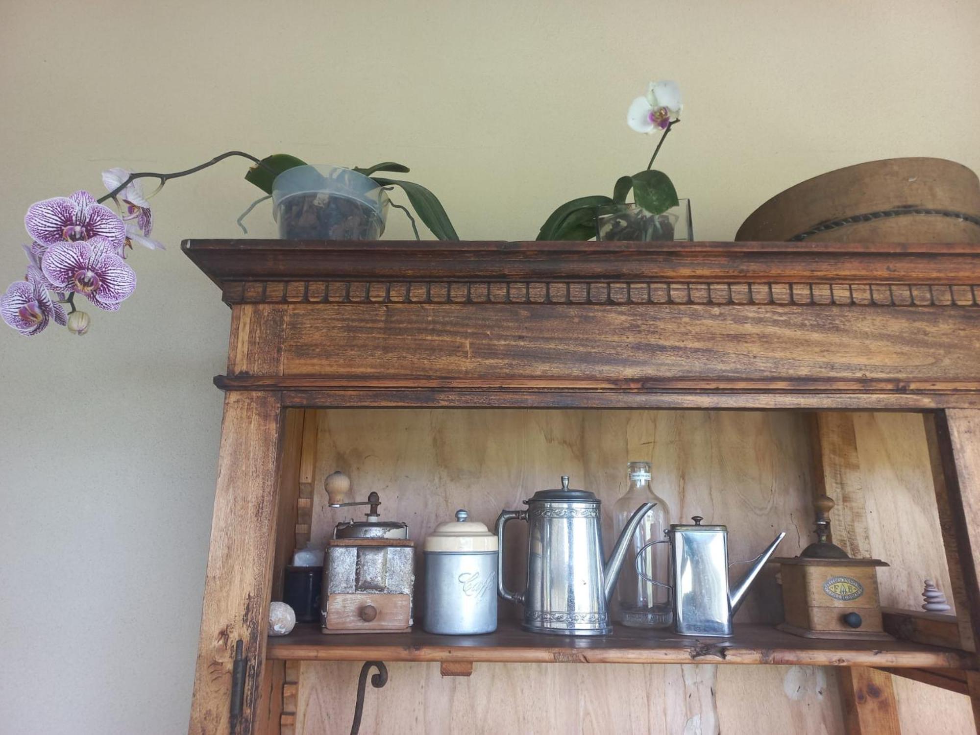 Beb Montefratta Bed & Breakfast Fratta Terme Ngoại thất bức ảnh